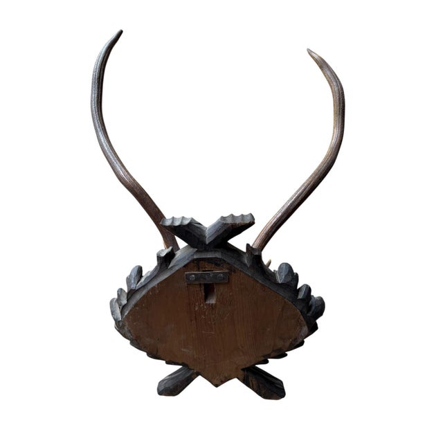 Cabin Large Black Forest Trophy Antler Mount on Carved Wood Plaque For Sale - Image 3 of 5