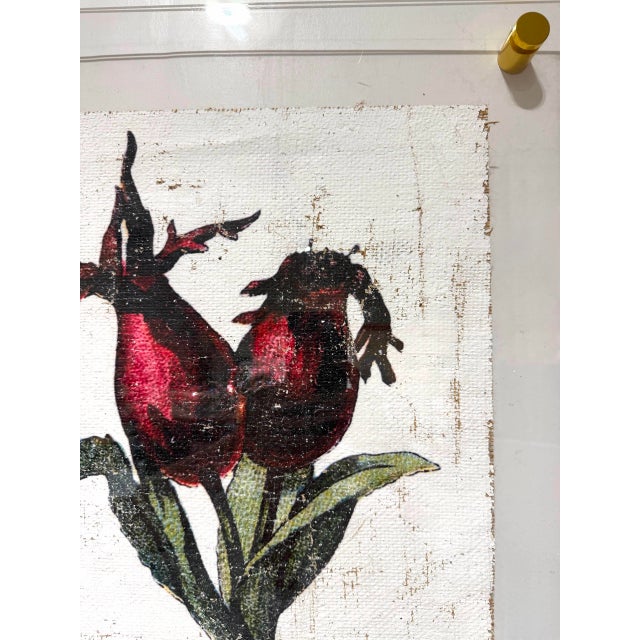 Vintage Rose Hip - Hand Textured Red Rose Hip Art For Sale - Image 4 of 7