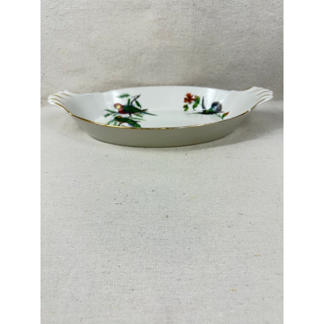 Vintage “Exotic Birds” gratin oven proof dish made by Pillivuyt in France. This is a pre-owned item so please see all...