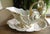 Ceramic Limoges a Superb & Rare Rocaille-Style Seashell Sauceboat W/ Waves & Fish 1891-1890 For Sale - Image 7 of 10