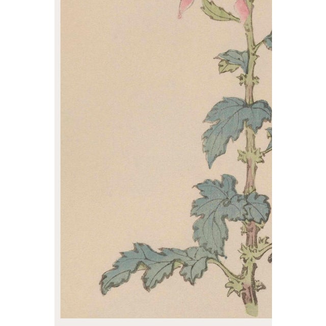 Pink Floral Giclee, Vintage Japanese Botanical Art Print, 8" X 12" For Sale - Image 4 of 8