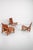 Low Chair by Werner Biermann for Arte Sano Colombia For Sale - Image 6 of 15