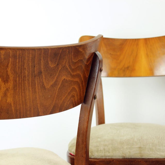 Dining Chairs by Tatra, Czechoslovakia, 1960s, Set of 4 For Sale - Image 10 of 12
