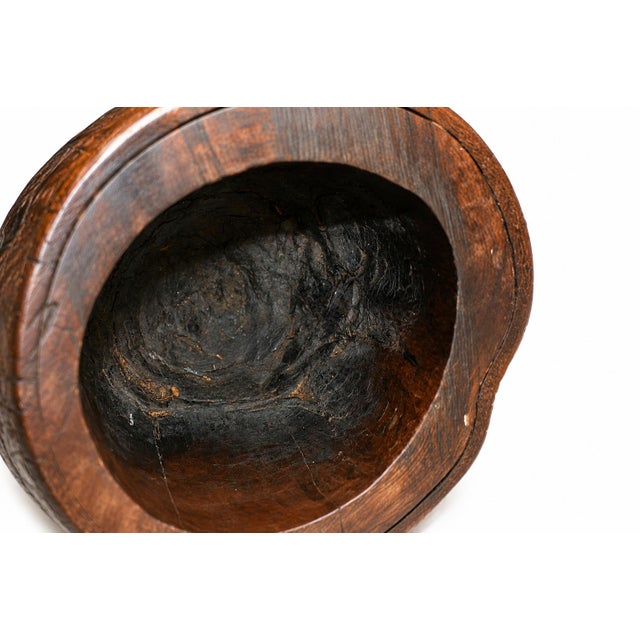 Antique Whole Root Solid Wood Brush Pot Vase Jar 15.75 Lb For Sale - Image 13 of 17