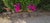 Metal Iron Planters, 1930, Set of 2 For Sale - Image 7 of 10