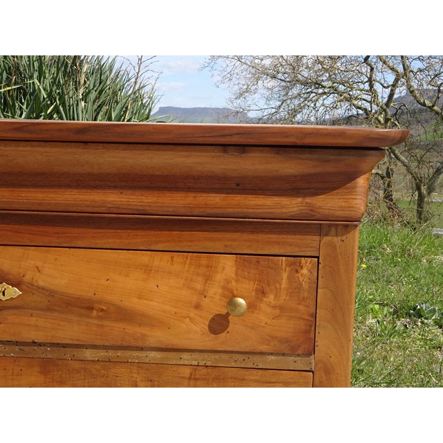 Wood Louis-Philippe Walnut Chest of Drawers, 1850s For Sale - Image 7 of 18