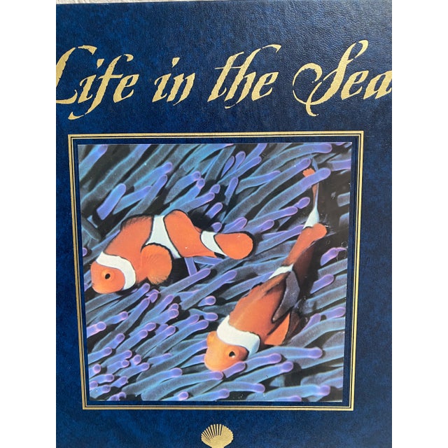 Nautical 1990s Life in the Sea Coffee Table Book For Sale - Image 3 of 9