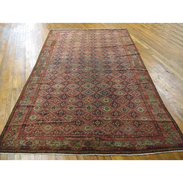 Late 19th Century W. Persian Senneh Carpet ( 5'6'' x 11' - 168 x 335 )