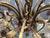 Large Florentine Tole Chandelier with Murano Glass Flowers, Italy, 1950s For Sale - Image 13 of 18