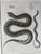 Mid 19th Century Snake Lithographs, Published 1859, Set of Four For Sale - Image 5 of 15