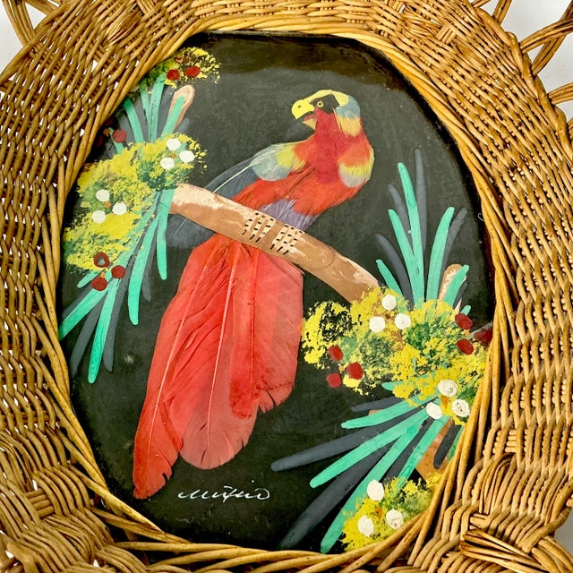 1950s Vintage Mexican Folk Art Original Feather Mixed Media Acrylic Bird Painting With Basket Frame For Sale - Image 14 of 14