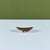Brass Metales Casado Mexican Brass and Copper Dish For Sale - Image 8 of 15
