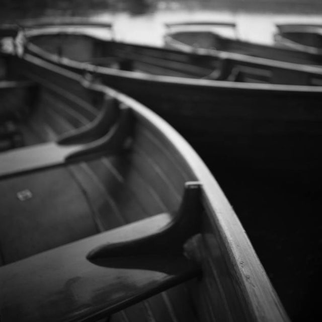 Paul Cooklin, Rowing Boats, Photograph For Sale