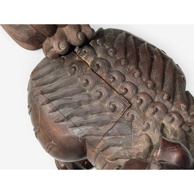 Chinese Export, Opposing Foo Dogs, Solid Teakwood, Glass, China, 19th C. For Sale - Image 15 of 18