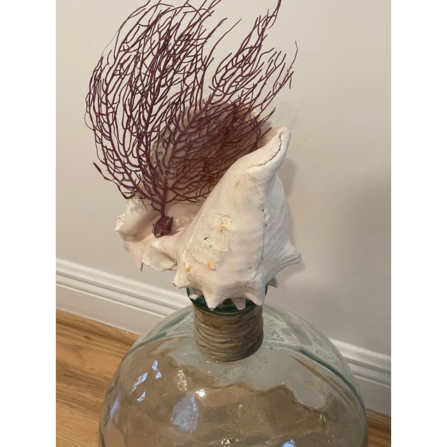Shell Fabulous Pair of Sea Shells Glass Demijohn Bottles For Sale - Image 7 of 9