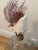 Shell Fabulous Pair of Sea Shells Glass Demijohn Bottles For Sale - Image 7 of 9