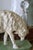 Vintage Hand-Painted English Country Grazing Sheep Sculpture on Green Plinth For Sale - Image 11 of 18