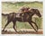 1980s Vintage 1984 Hand Colored Etching of Famous Race Horse “Ruffian” and Jockey For Sale - Image 5 of 8