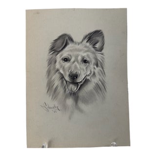 1940s Original Signed Graphite Illustration of Shetland Sheepdog Portrait, 10.75 × 8 In. For Sale