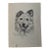 1940s Original Signed Graphite Illustration of Shetland Sheepdog Portrait, 10.75 × 8 In. For Sale