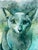 Earnest Eyes features a captivating depiction of a cat, portrayed with a striking blend of soft watercolors that evoke a...