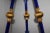 Museum piece here! A 19thc signed British F & C Osler 3 arm Blown Blue Cobalt Arm adorned with All gold plate adornments...