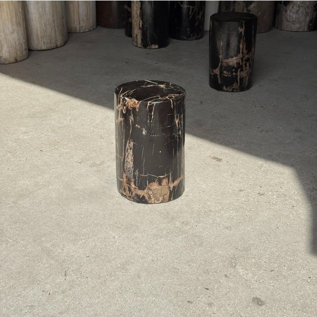 Black Small Side Table in Black Petrified Wood with Beige Striations For Sale - Image 8 of 18