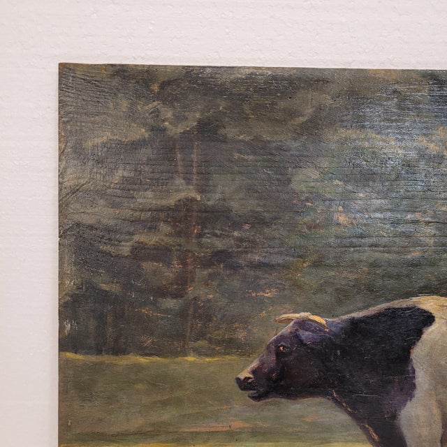 Roger Griboval, Rouen School Cow, 1980s, Oil on Board For Sale - Image 15 of 18