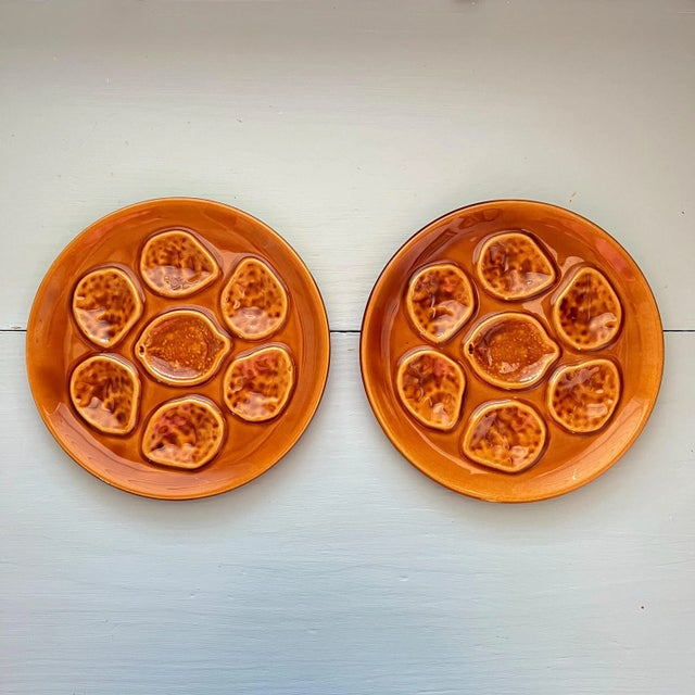 Vintage Niderviller Faience Brown Oyster Plates- a Pair For Sale - Image 12 of 12