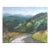 Landscape Appalachian Mountains Americana Impressionism Traditional Green Goldenrod Blue Original Oil Painting by Cleo Plowden For Sale