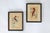 Mexican Vintage Mexican Feather Art Bird Wall Hangings For Sale - Image 3 of 12