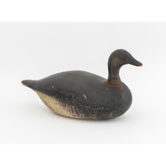 Two American Painted and Carved Wood Decoy Ducks, smaller a canvasback drake. 10.5" H x 20.5" W x 8" D. Provenance: From a...
