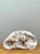 Evolving through natural geological crystallization over millennia, this authentic white quartz geode specimen reveals an...