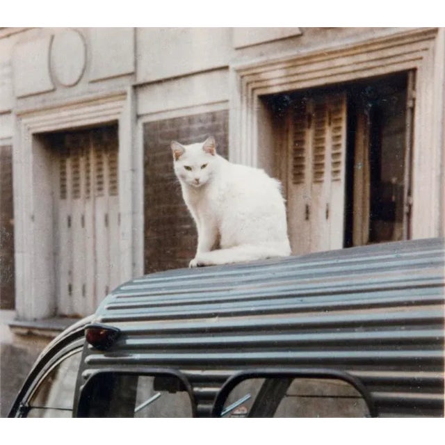 Cat on a Car Tin Roof A white cat sits on the roof of a Citroën 2 CV delivery van in Paris. From the series Paris in...