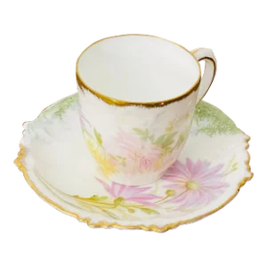 Antique R C Claire Rosenthal Bavarian Hand-Painted Tea Cup & Saucer Set- 2 Pieces