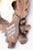 1950s Black Forest Roe Deer Antlers Hunting Trophy 1951 Mount For Sale - Image 5 of 7
