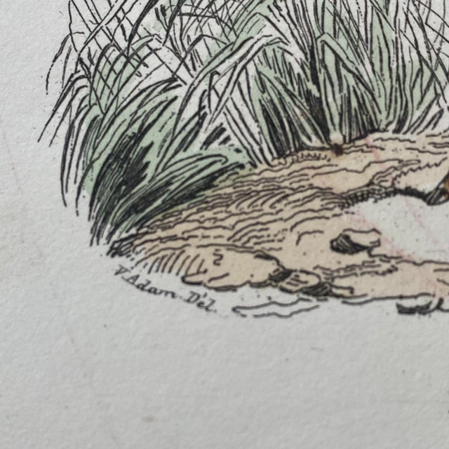 French Antique 18th Century "La Biche" Deer Engraving Hand Colored Signed Artwork For Sale - Image 9 of 10