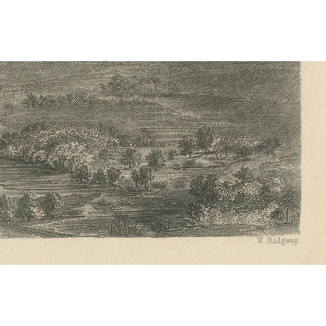 Paper Birds-Eye View of Charleston, 1800s, Paper For Sale - Image 7 of 10