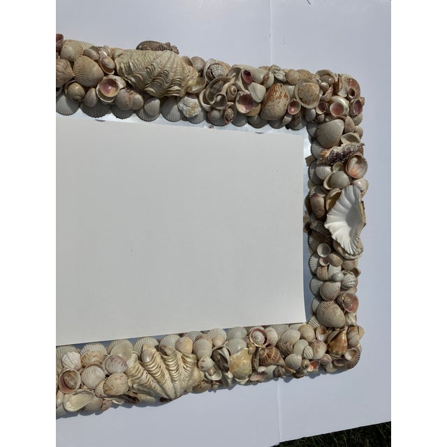 Coastal Shell Mirror For Sale - Image 3 of 6