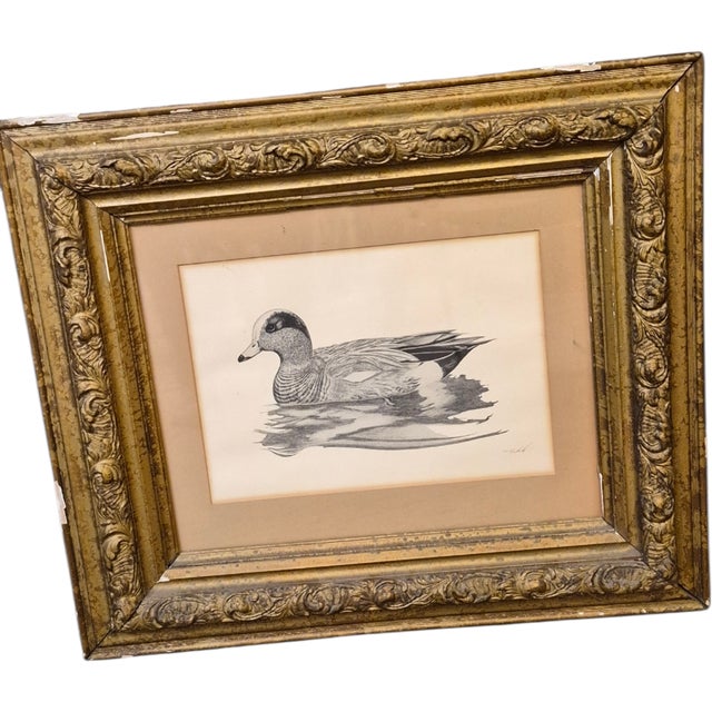An original signed print by Frank Hulick c 1980 of an American Wigeon Drake. Site size 20 x 16. FRAMED SIZE: 29 x 25...
