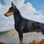Stunning portrait painting of a black & tan Doberman Pinscher male dog depicted in a standing "show" pose with cropped...