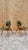 Thonet Mid Century Modern Plywood Dining Chairs by Joe Atkinson for Thonet for Reupholstery - Set of 4 For Sale - Image 4 of 9