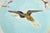 A rare antique turquoise majolica flying crane plate by Joseph Holdcroft, Longton, England, circa 1870. Maker's mark on...