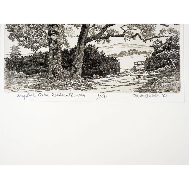 Vintage 1960 Maurice R. Bebbs (1891-1985) aquatint etching on paper. Signed, titled English Oaks, Nether Stowey, England,...