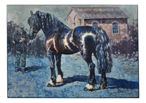 Elin Sian Blake, Fronarth Northern Star, Welsh Cob Native Horse Breed of Wales, 2010, Oil on Canvas, Framed