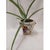 Brass Vintage Brass Plant Stand Ball Holder 3 Leg 5" Tall Palm Leaves Sea Shell Decor For Sale - Image 8 of 10