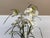 Silk Flower Arrangement of Orchids in Vase For Sale - Image 10 of 12