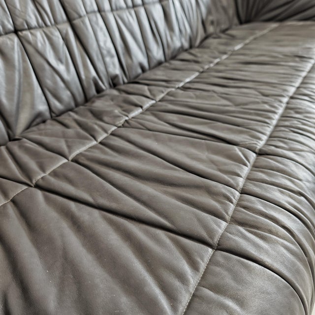 Piumino 3-Seater Sofa in Gray Leather by De Pas, d'Urbino and Lomazzi for Dalloca, 1970s For Sale - Image 13 of 18