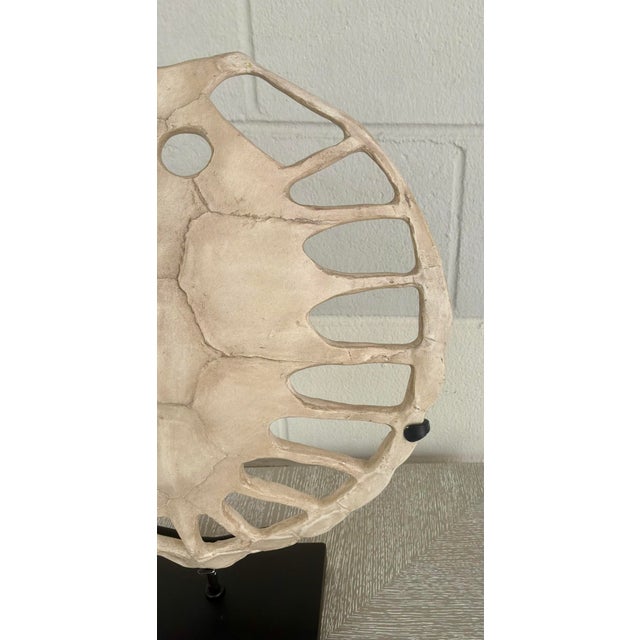 2020s Wildwood Organic Modern Sulcata Turtle Sculpture For Sale - Image 5 of 5