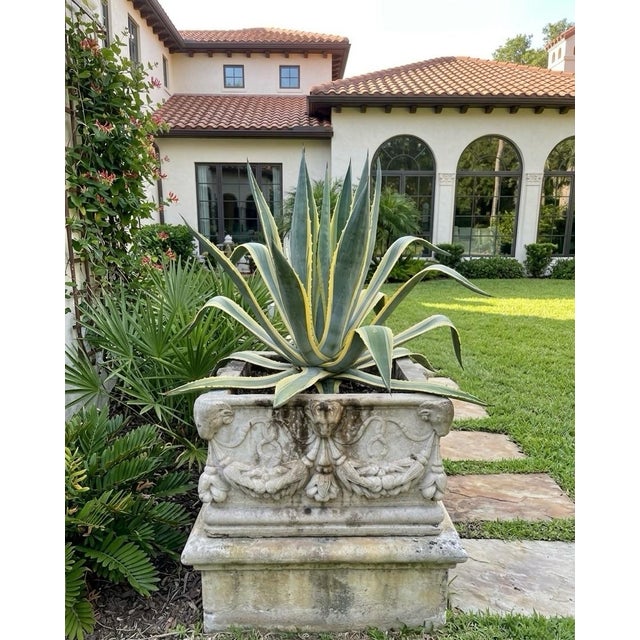 Ivory Vintage Neoclassical Cast Stone Planter With Ram's Head and Lion Masks For Sale - Image 8 of 12